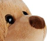 BRUBAKER Teddy Bear - Get Well Soon - 14 Inch Cuddly Toy Gift with Mask and Stethoscope - Doctor Plush Animal with White Shirt - Brown