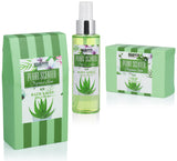BRUBAKER Cosmetics Bath and Shower Set Aloe Vera - 9-Piece Gift Set in Vintage Plant Pot