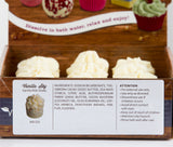 BRUBAKER "Vanilla Sky (Vanilla Milk Shake)" Bath Melts 12pcs /Box  - Vegan - Organic - Handmade