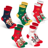 BRUBAKER 5 Pairs of Socks for Women and Men - Dogs and Cats - Funny Footwear for Christmas and Holiday Season - Colorful