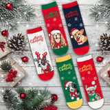 BRUBAKER 5 Pairs of Socks for Women and Men - Dogs and Cats - Funny Footwear for Christmas and Holiday Season - Colorful