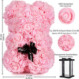 BRUBAKER Rose Bear 10 Inches - Flower Gift for Girlfriend, Anniversary, Birthday or Wedding - Gift Box Included